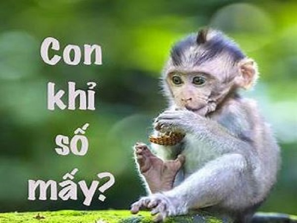 con khi so may